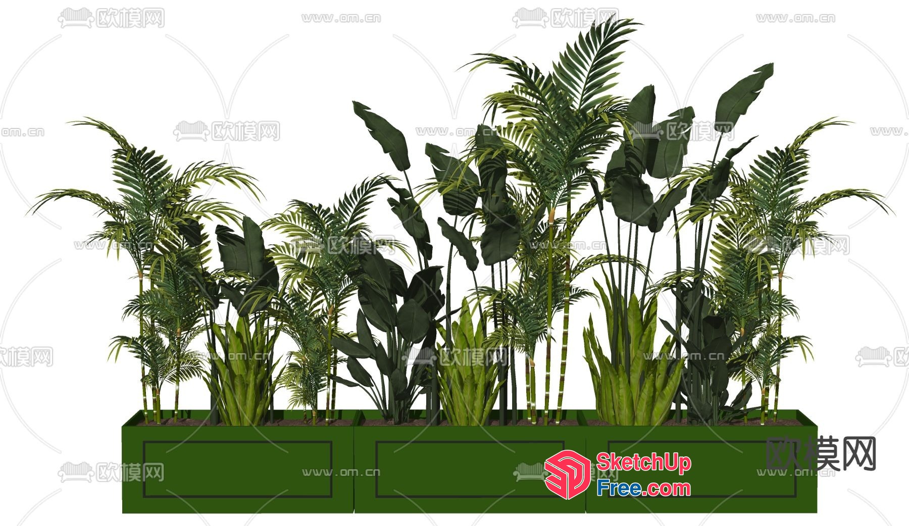 Tropical Plant Arrangement In A Green Planter Box 3D SketchUp File