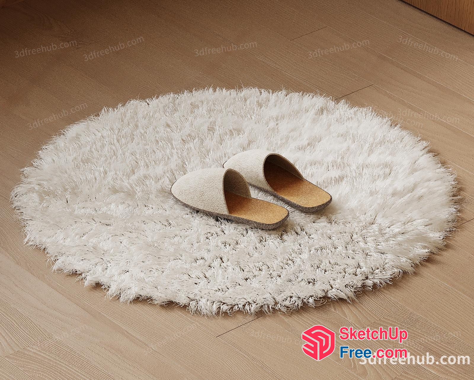 Round White Shag Rug With Slippers 3D SketchUp File