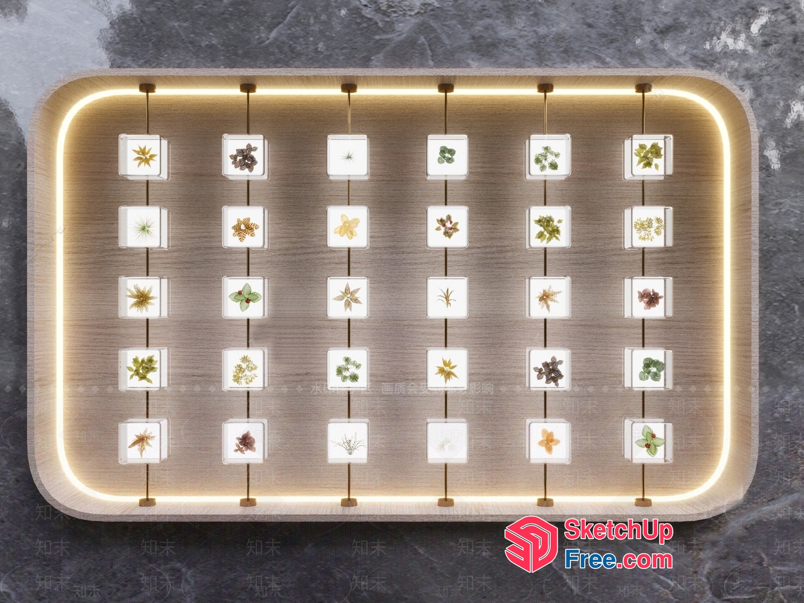 Display Of Various Plants In Small Frames 3D SketchUp File
