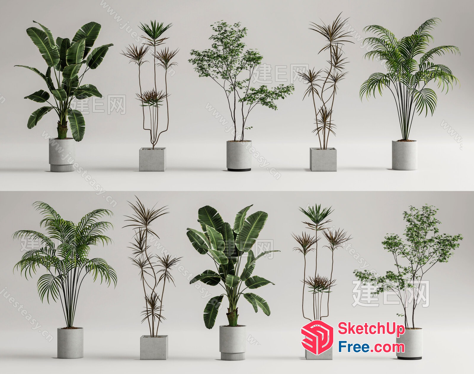 Potted Plants With Various Types Of Leaves 3D SketchUp File