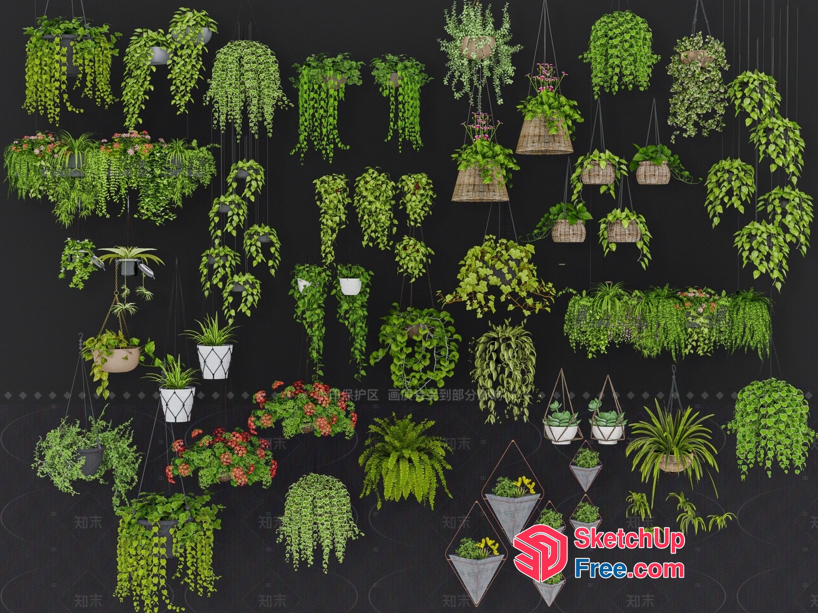 Exquisite Hanging Plant Collection 3D SketchUp File