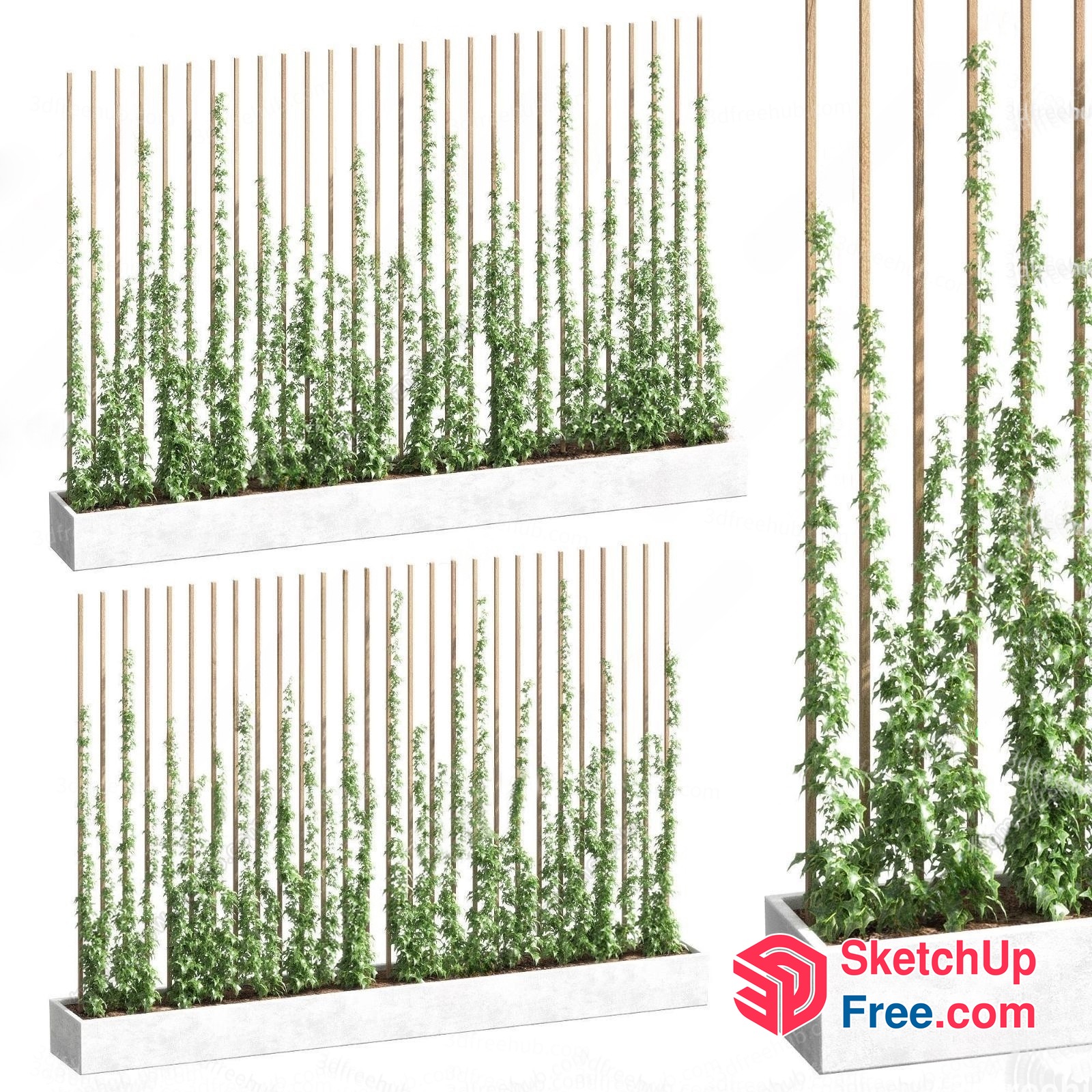 Modern Vertical Garden With Wooden Trellis And Potted Plants 3D SketchUp File