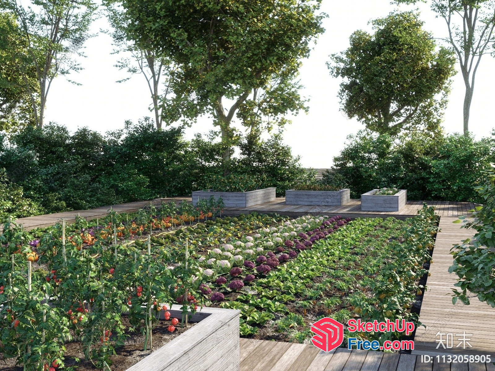 Lush Garden With Varied Vegetables And Fruits 3D SketchUp File