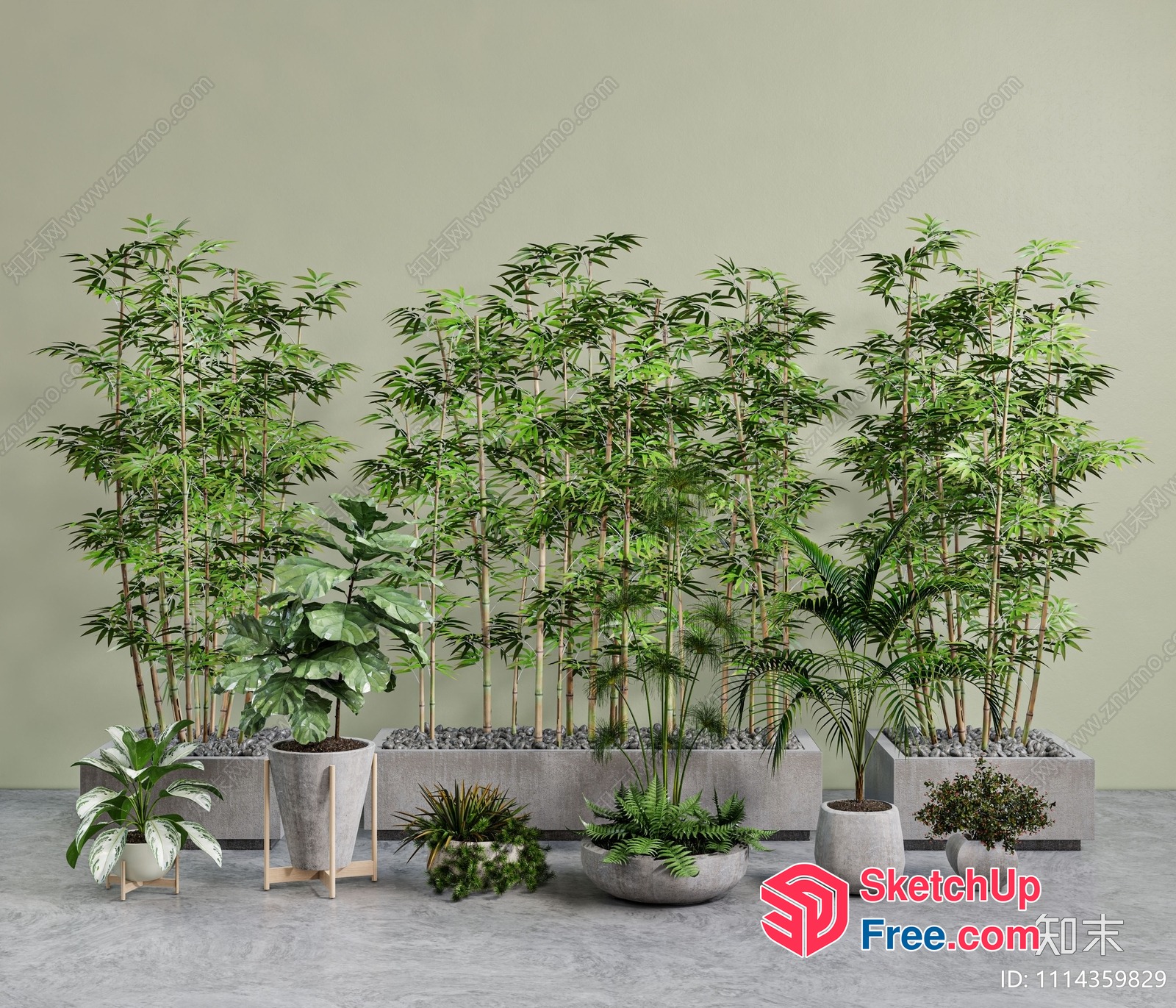 A Variety Of Potted Plants And Trees In A Modern Setting 3D SketchUp File