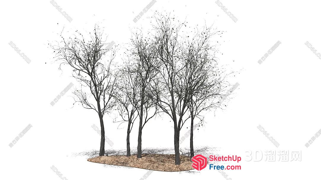 Group Of Trees In A Square Patch Of Dirt 3D SketchUp File