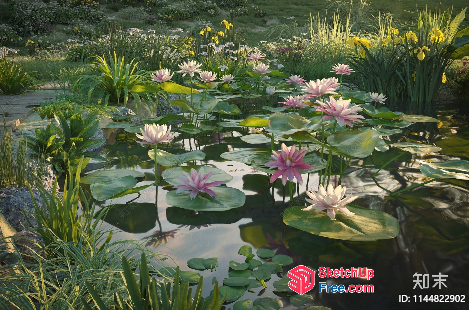 Serene Water Garden With Pink Water Lilies And Greenery 3D SketchUp File