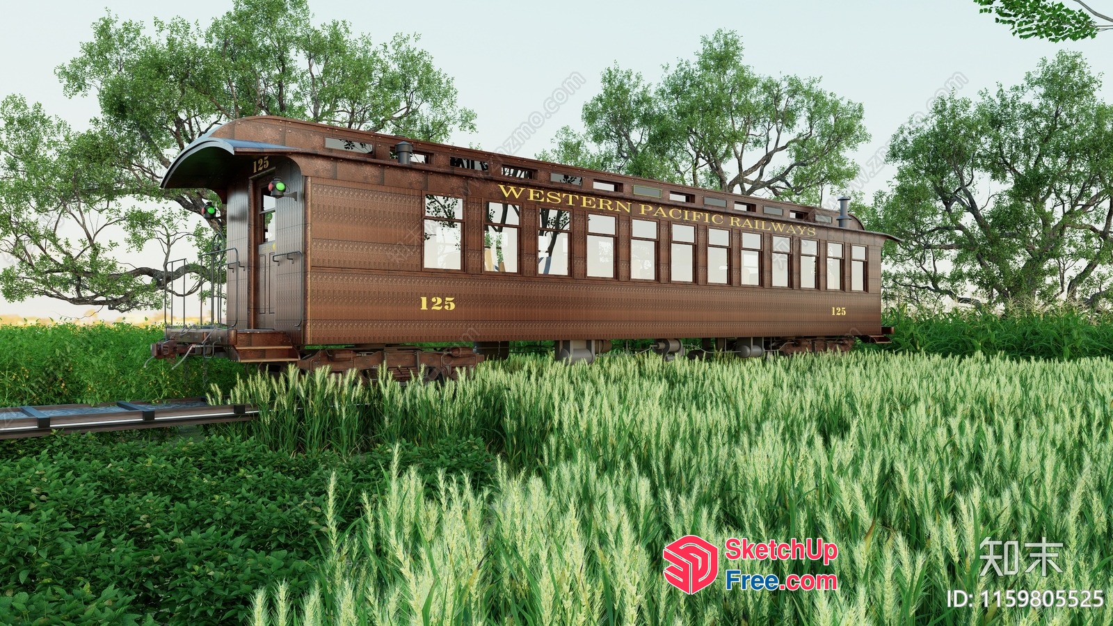 Old Western Pacific Railway Train In A Field 3D SketchUp File