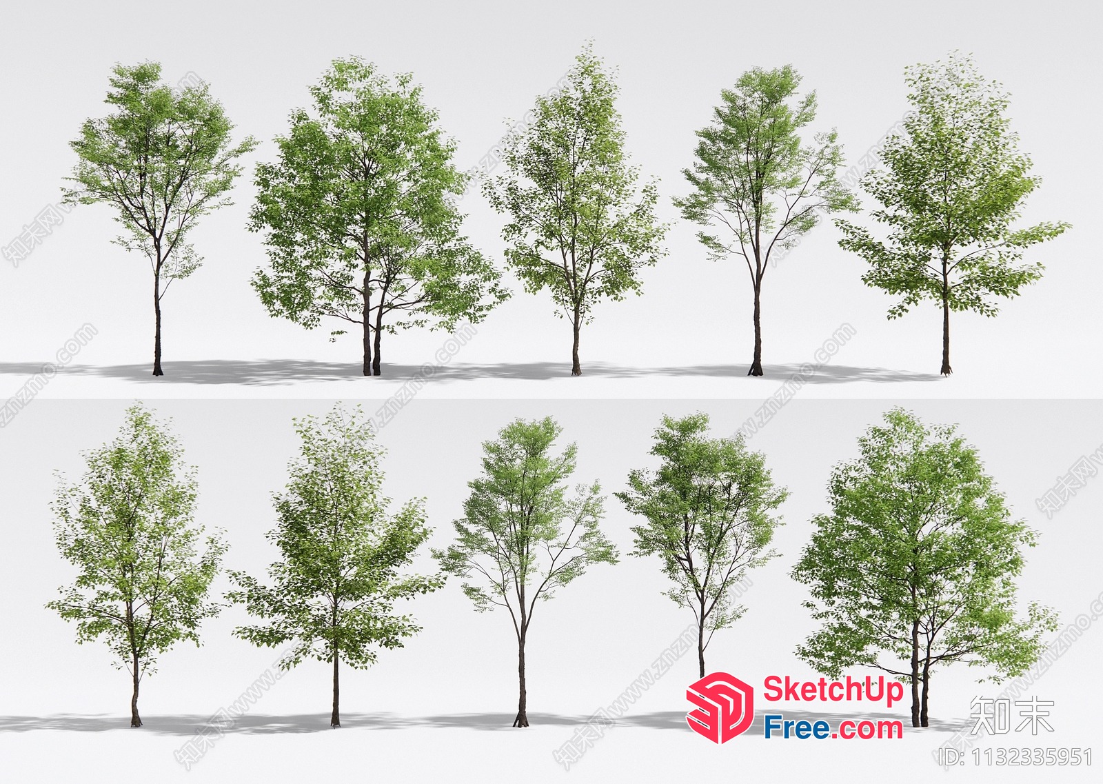 Trees In A Row With Shadows 3D SketchUp File