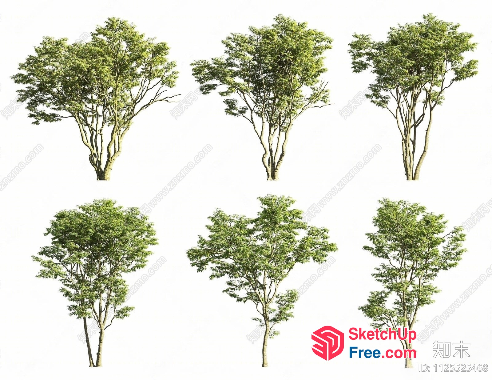 Tree Collection 3D SketchUp File