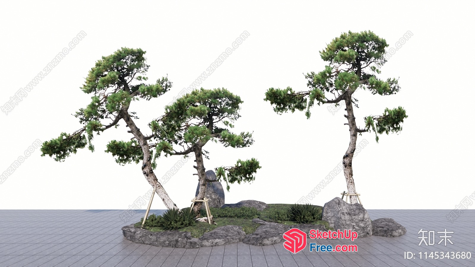 Japanese Style Garden With Three Trees And Rocks 3D SketchUp File