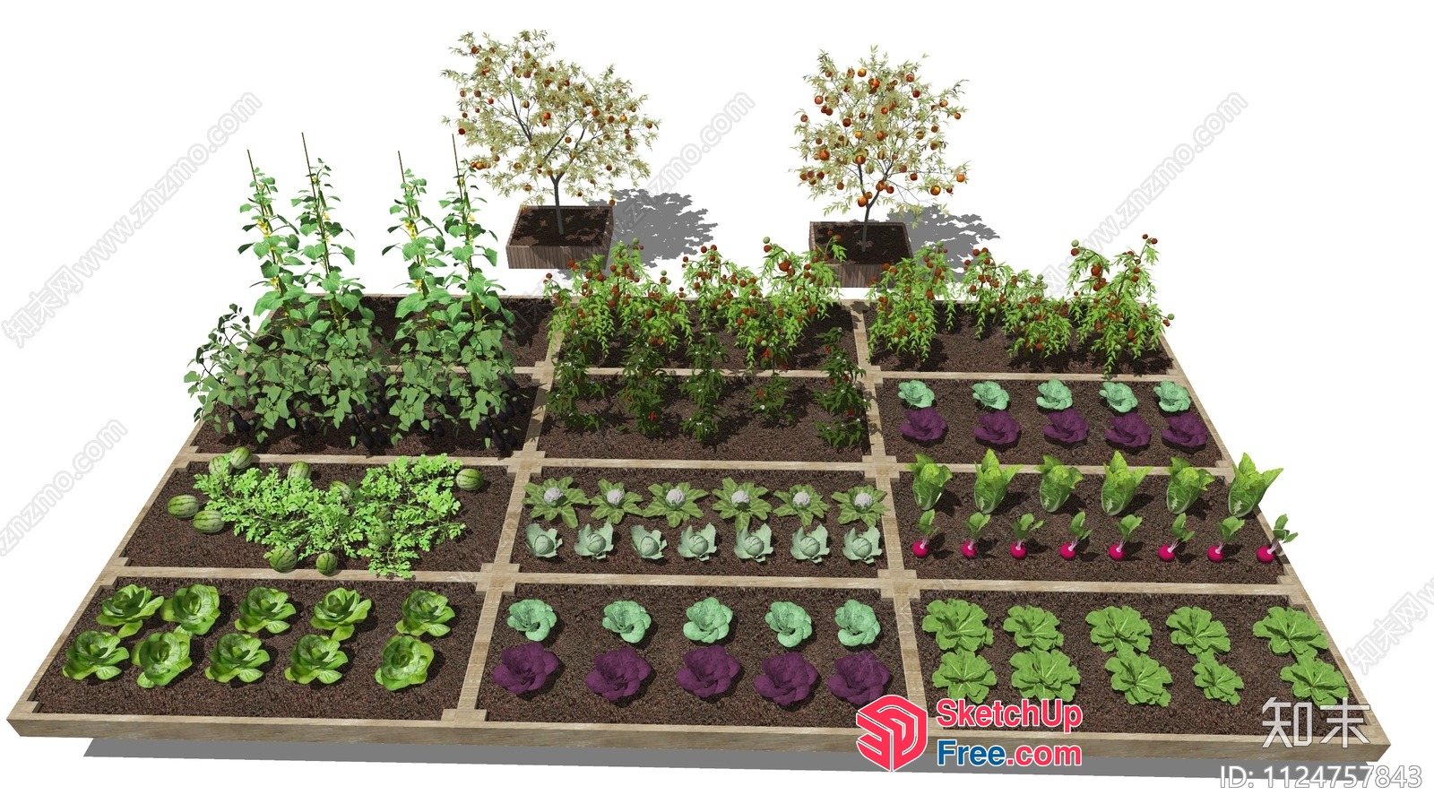 Garden Bed With Various Plants 3D SketchUp File