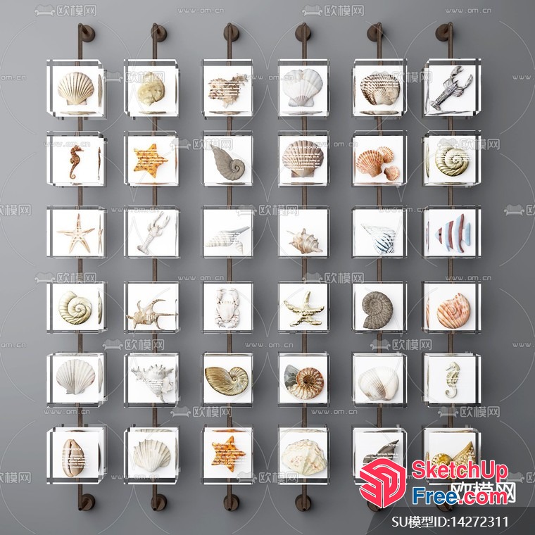 Seashell Decorative Art Pieces 3D SketchUp File