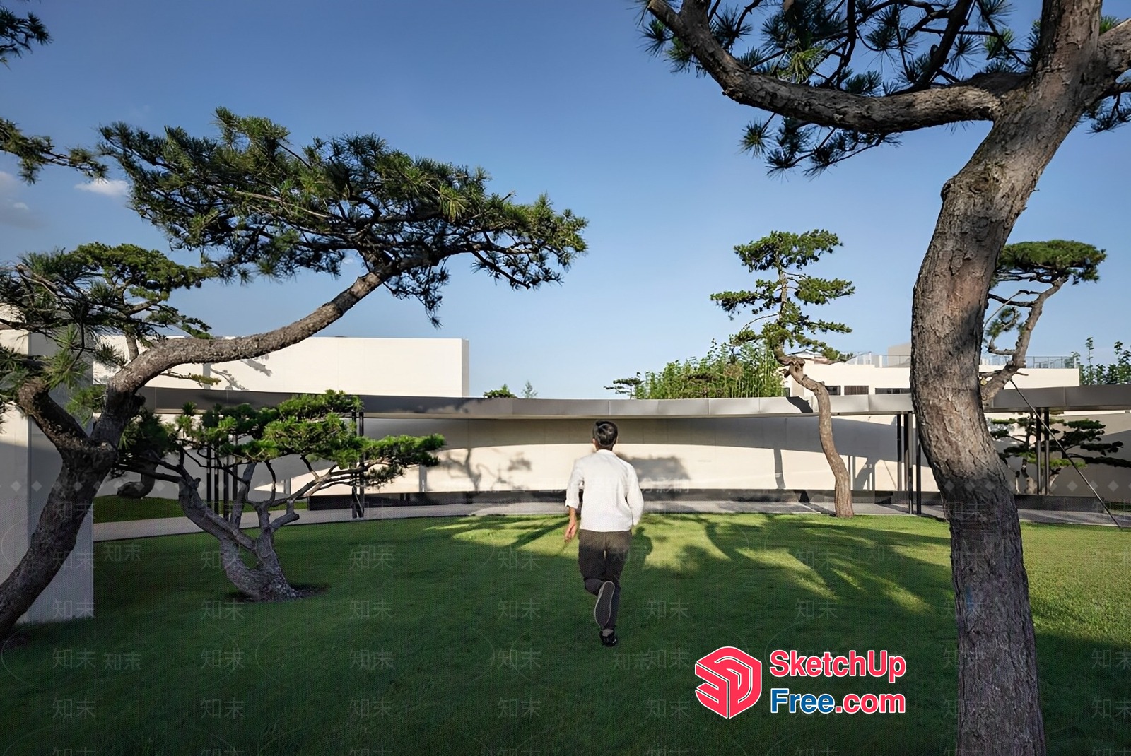 Man Walking In A Serene Garden 3D SketchUp File