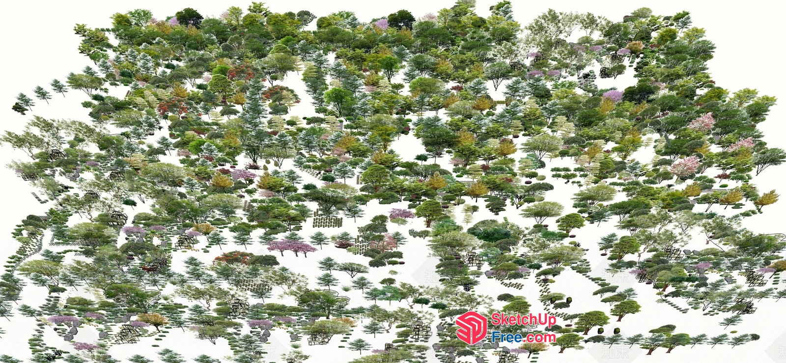A Forest Of Trees In Various Shapes And Sizes 3D SketchUp File