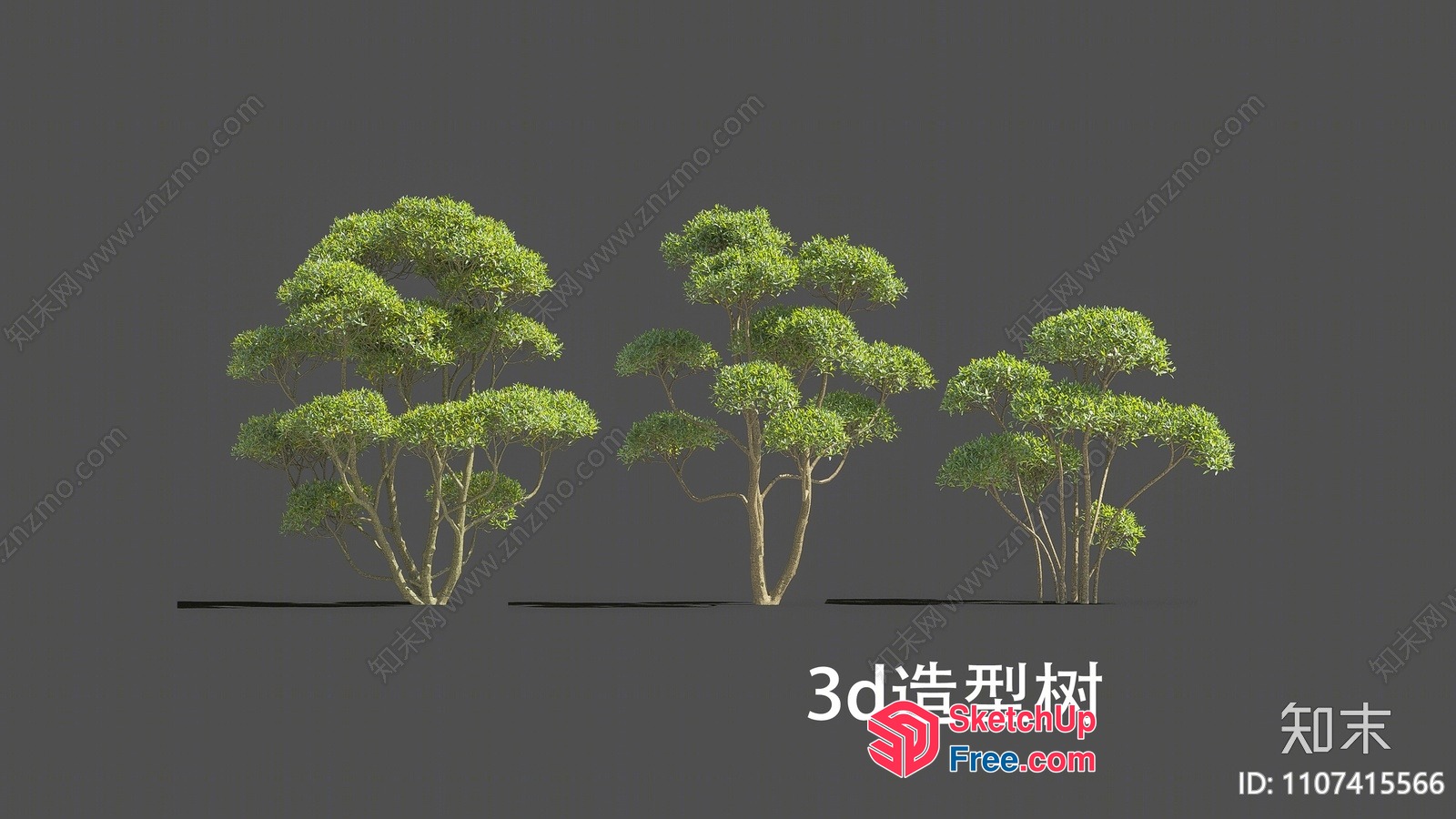 3D Rendering Of Trees In A Row 3D SketchUp File
