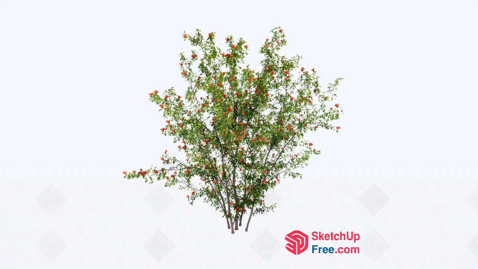 A Beautiful And Colorful Tree With Red Flowers 3D SketchUp File