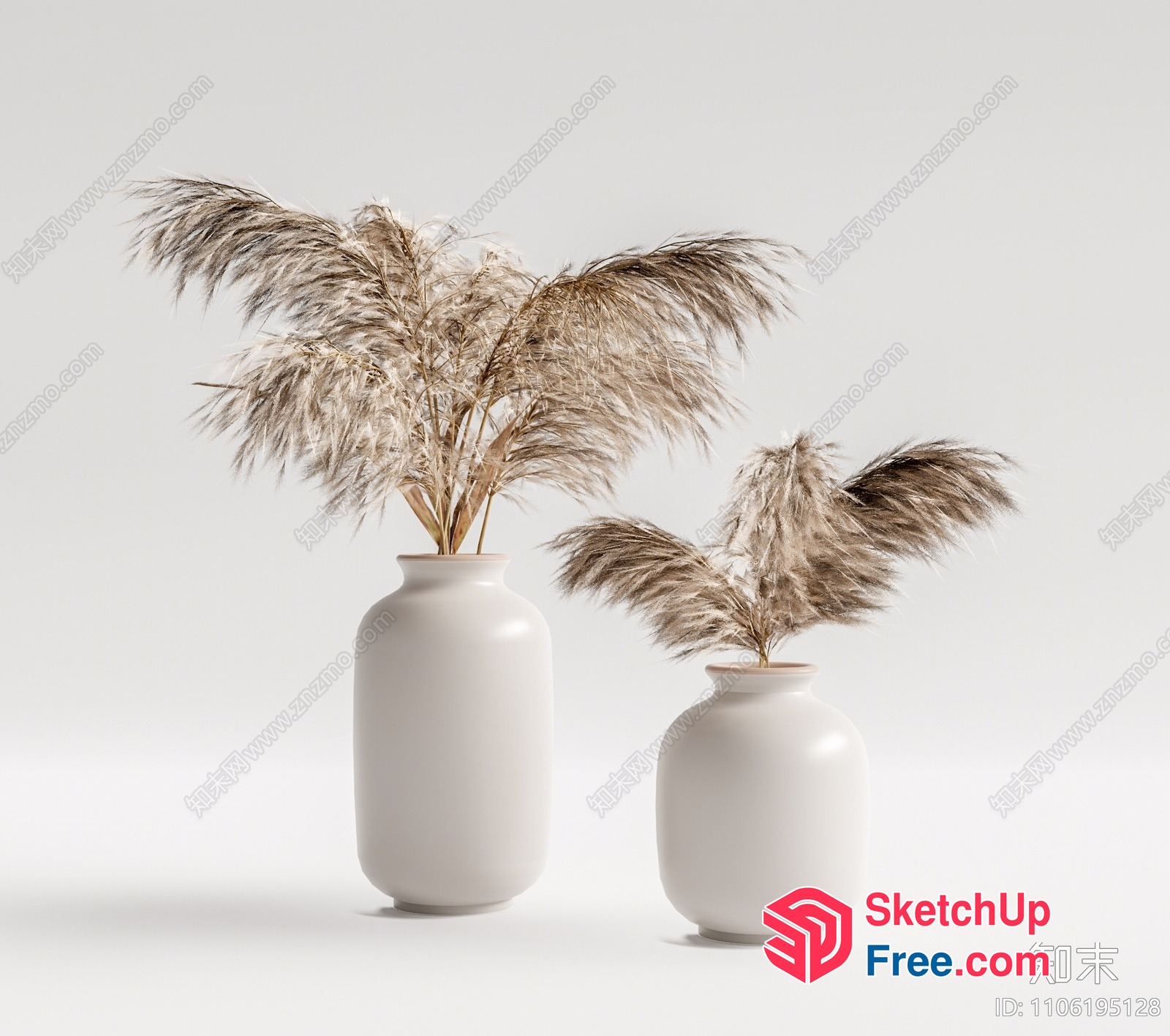Pampas Grass In Elegant White Vases 3D SketchUp File