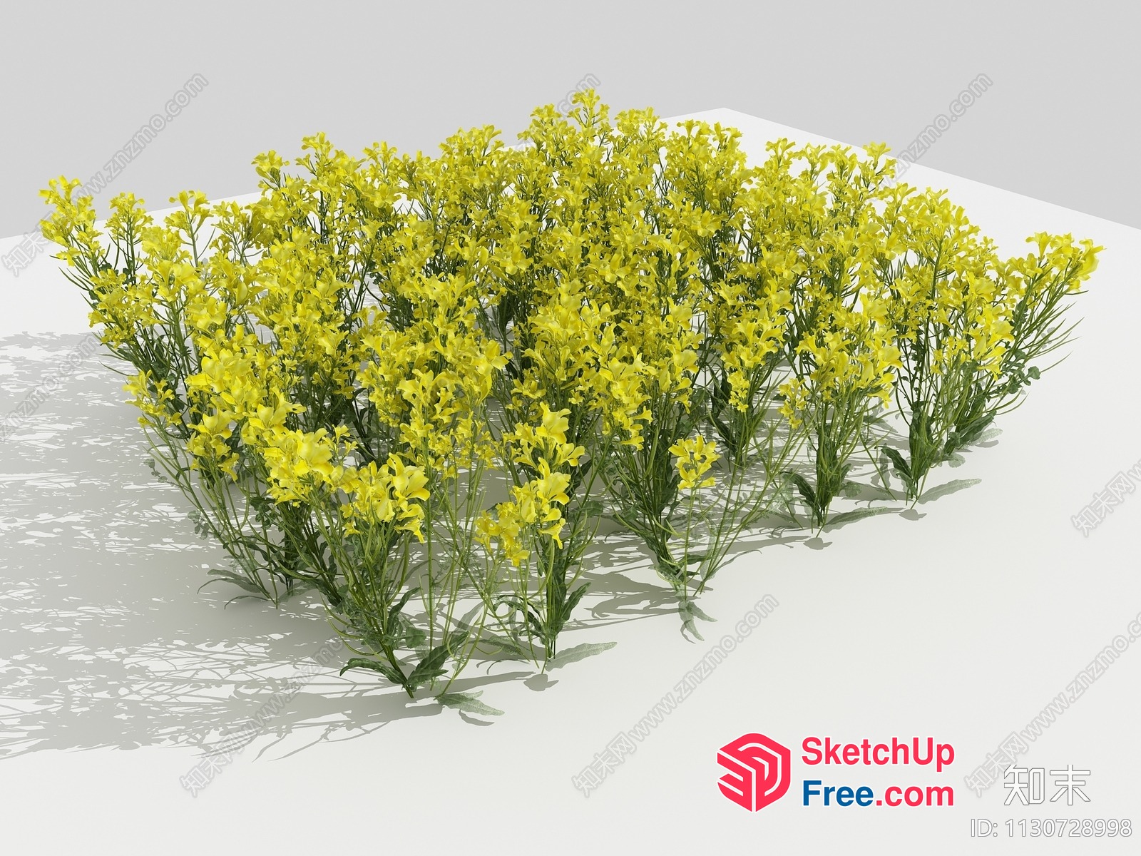 3D Rendering Of Yellow Flowers In A Garden 3D SketchUp File