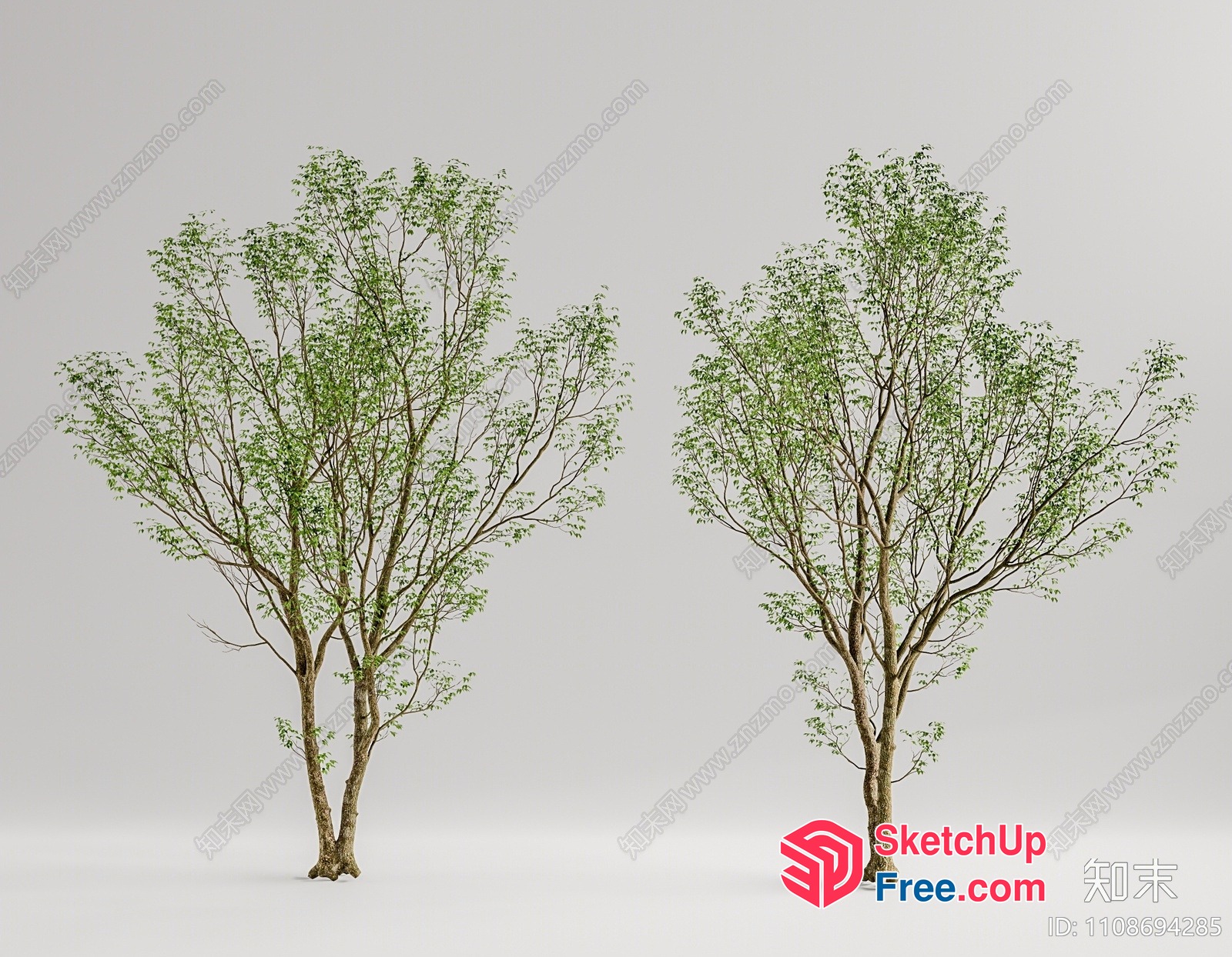 Tree Collection 3D SketchUp File