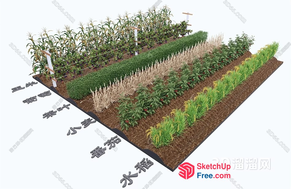 3D Model Of A Garden With Various Plants 3D SketchUp File