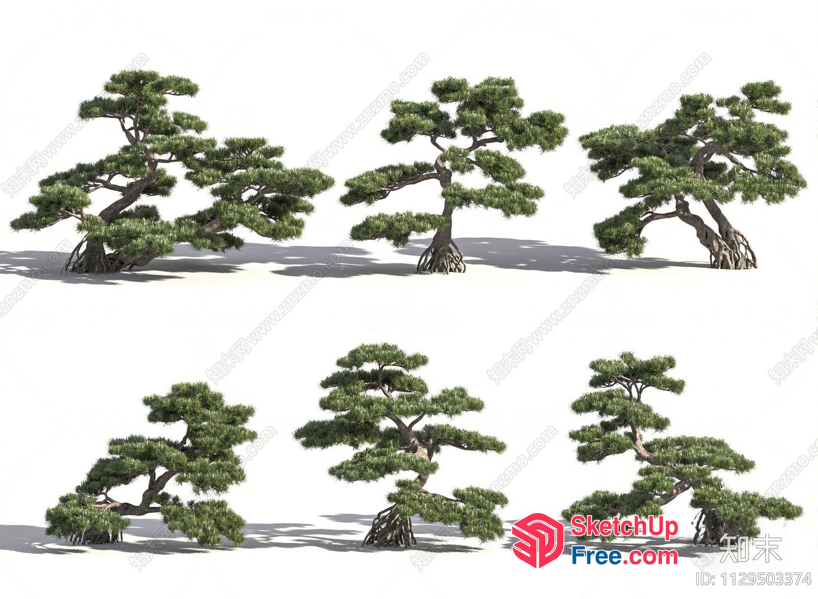 A Collection Of Trees In Various Styles And Shapes 3D SketchUp File