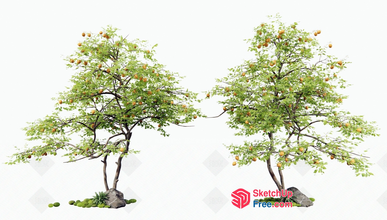 Vibrant Orange Tree Scene 3D SketchUp File