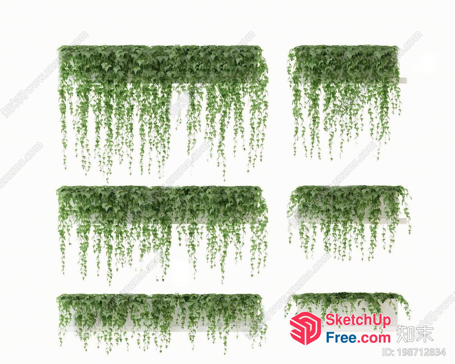 Elegant Hanging Greenery 3D SketchUp File