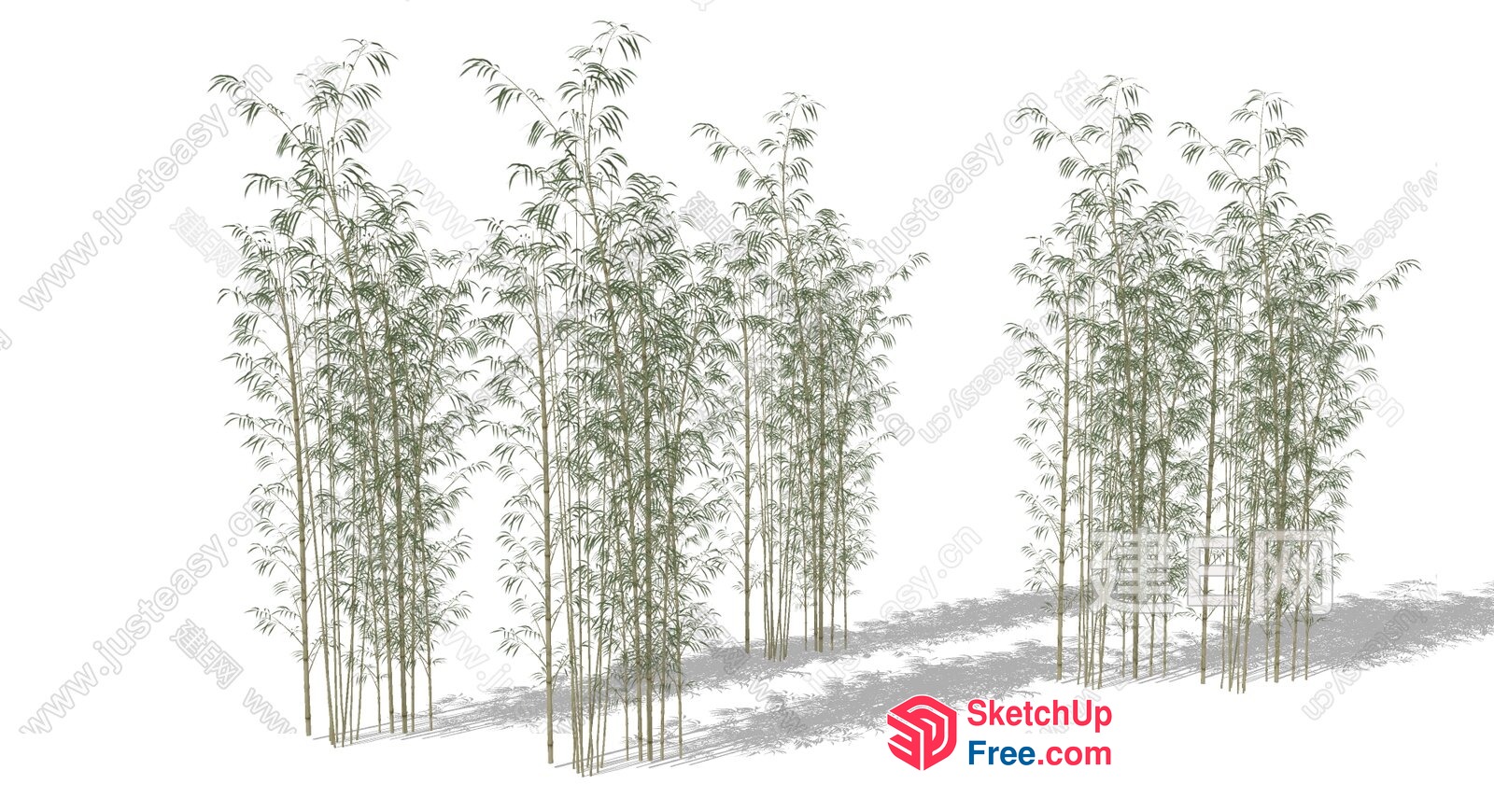 Bamboo Forest In A White Room 3D SketchUp File