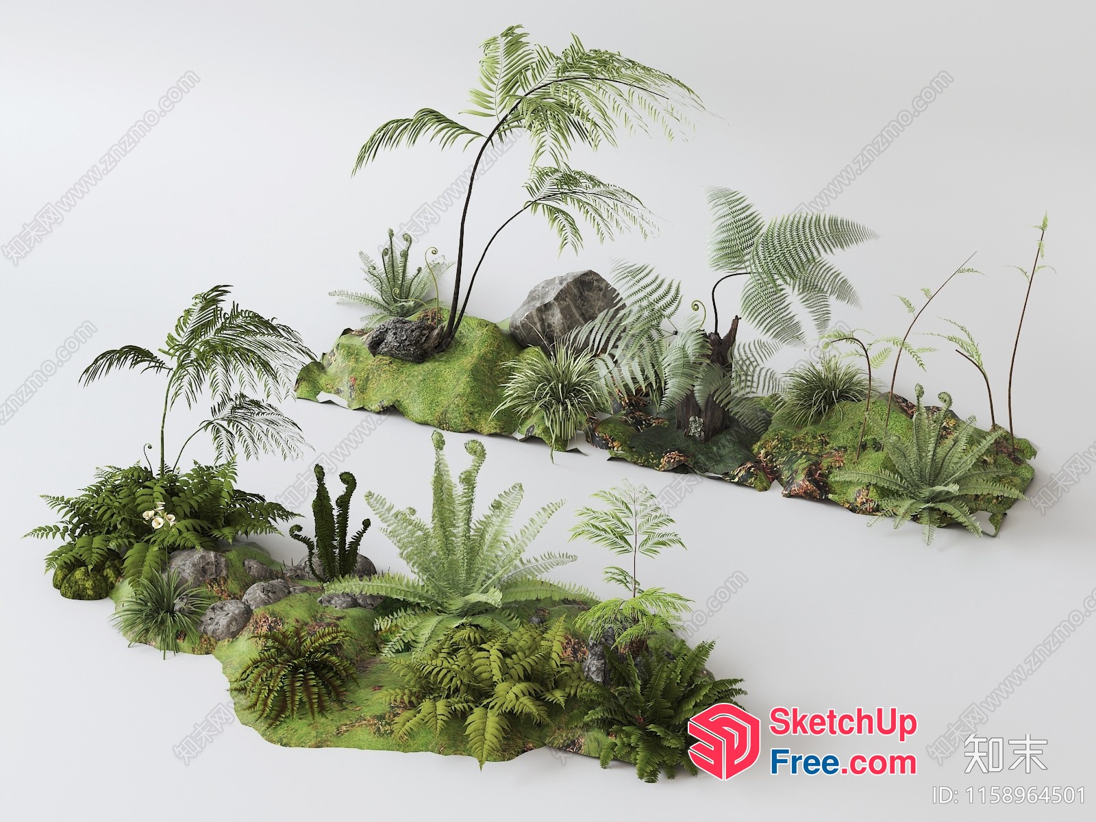 Exotic Tropical Forest 3D SketchUp File