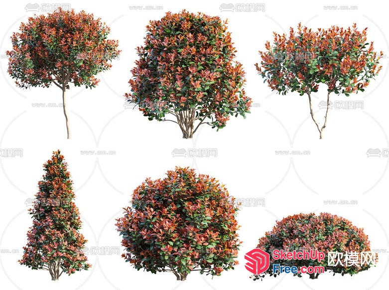 Decorative Trees In A Variety Of Shapes And Colors 3D SketchUp File