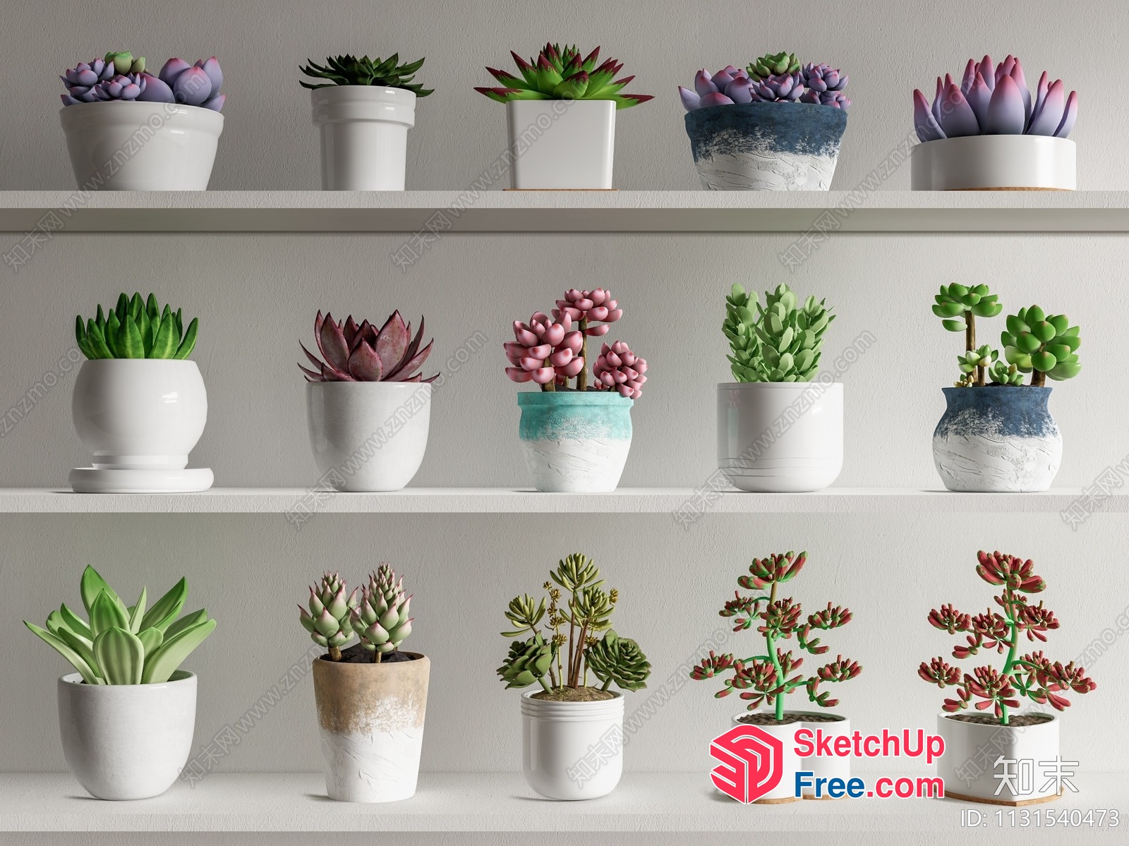 Colorful Succulent Plants On White Shelves 3D SketchUp File