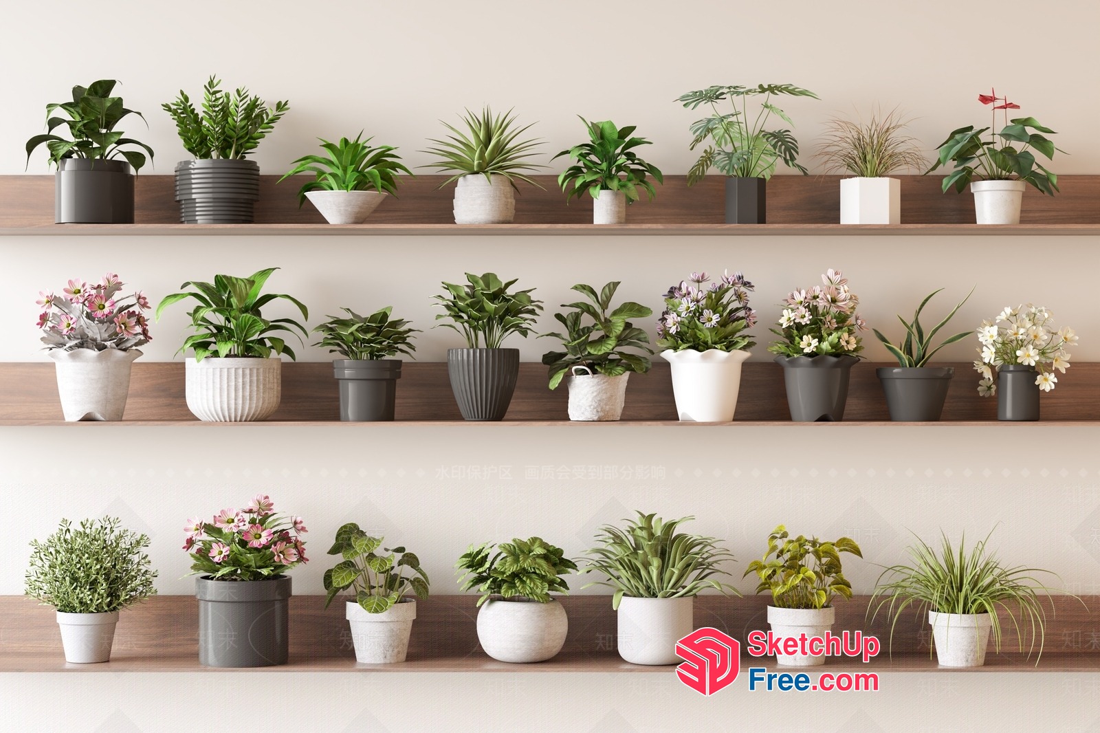 Potted Plants On Wooden Shelves 3D SketchUp File