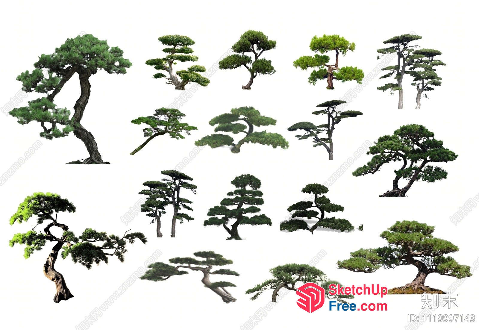 Japanese Style Trees 3D SketchUp File
