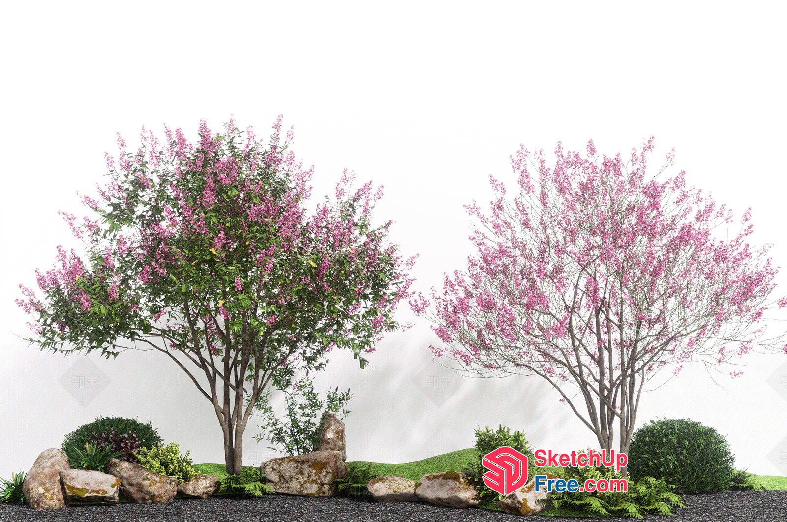 Beautiful Japanese Garden Scene With Cherry Blossom Trees And Decorative Stones 3D SketchUp File