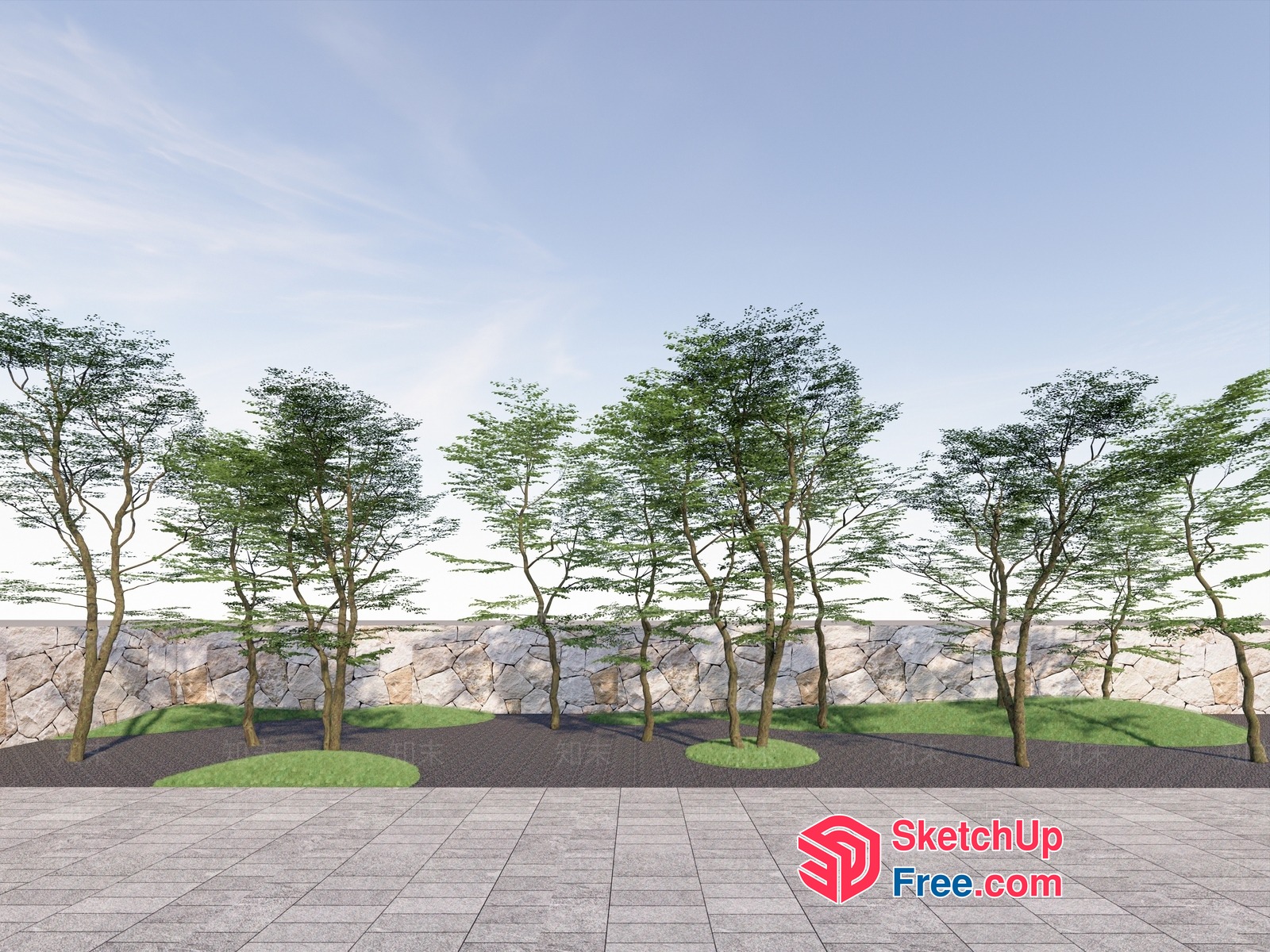 Exterior Decorative Trees In A Park 3D SketchUp File