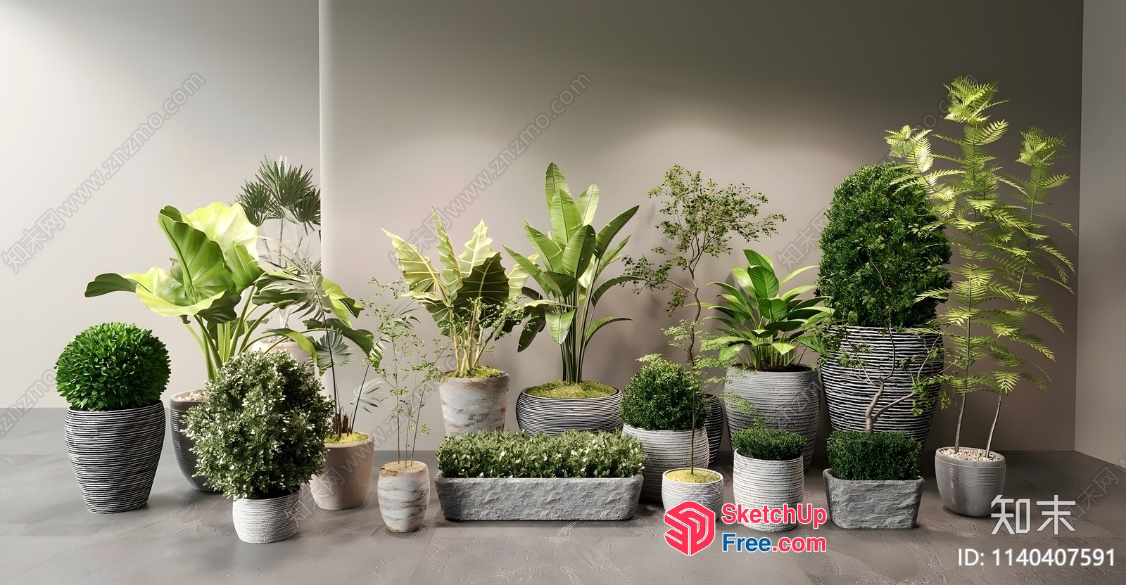 Potted Plants In A Variety Of Styles And Sizes 3D SketchUp File