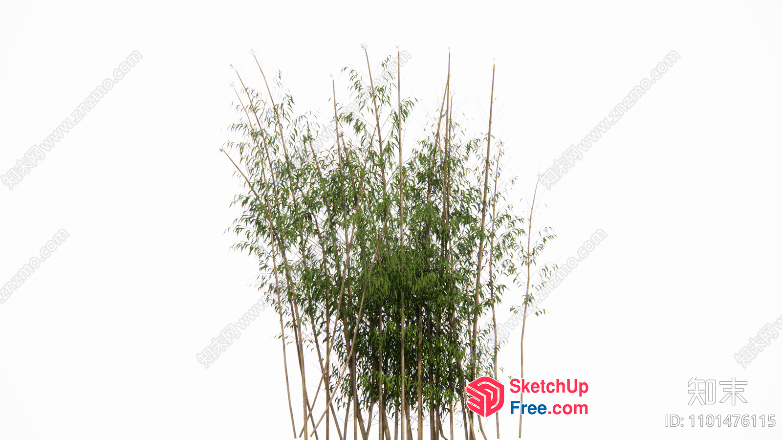 Tall Plants In The Middle Of A Clear Area 3D SketchUp File