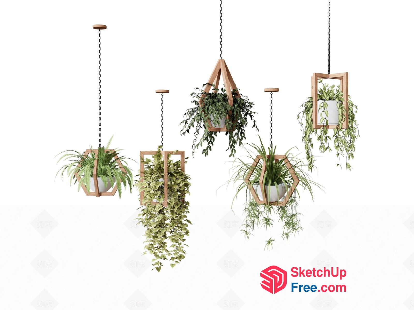 Hanging Plants In Geometric Wooden Frames 3D SketchUp File