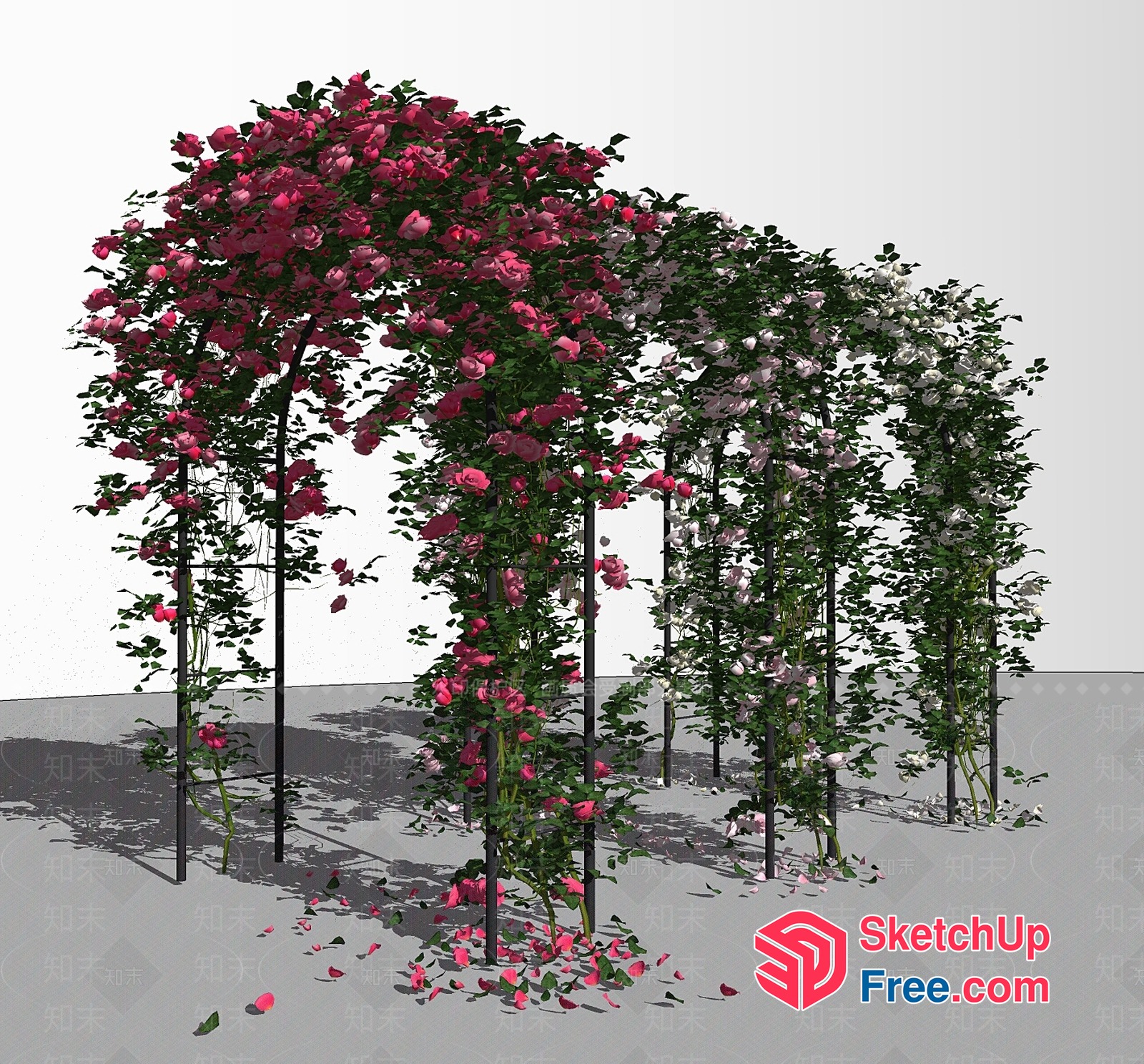 Beautiful Pink Flowering Trellis 3D SketchUp File