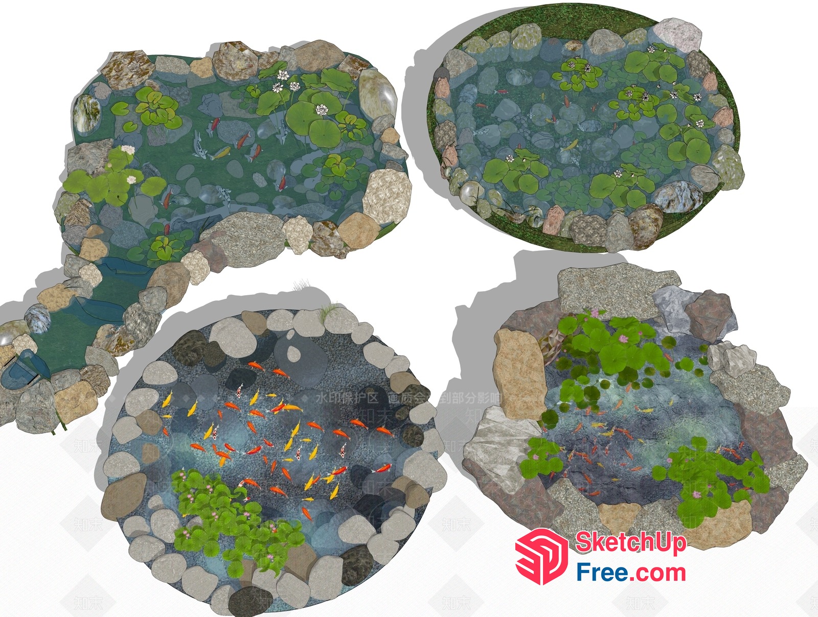 Koi Pond With Rocks And Lilies 3D SketchUp File