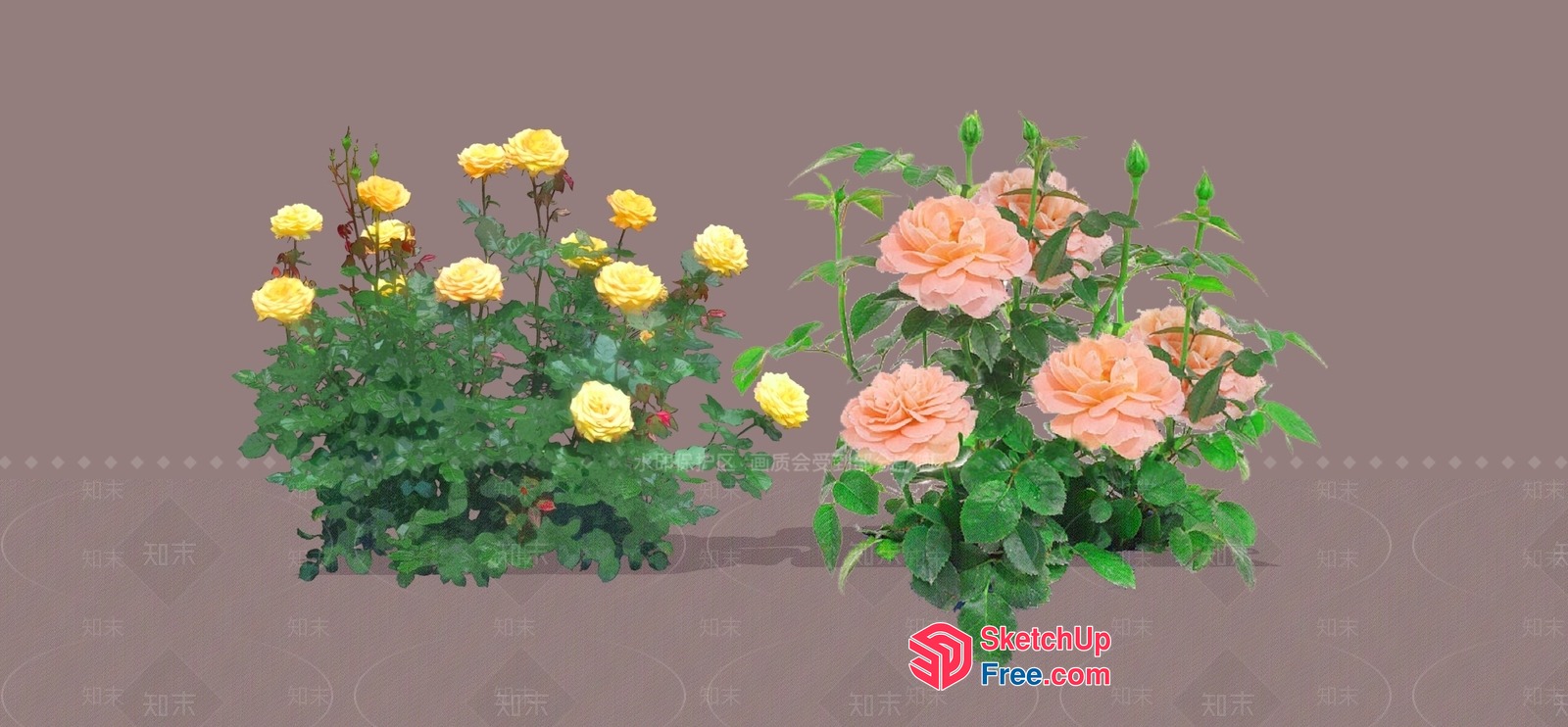 Two Flower Bushes In A Garden 3D SketchUp File