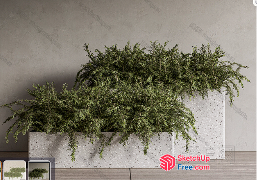 A Large Potted Plant On A White Wall 3D SketchUp File