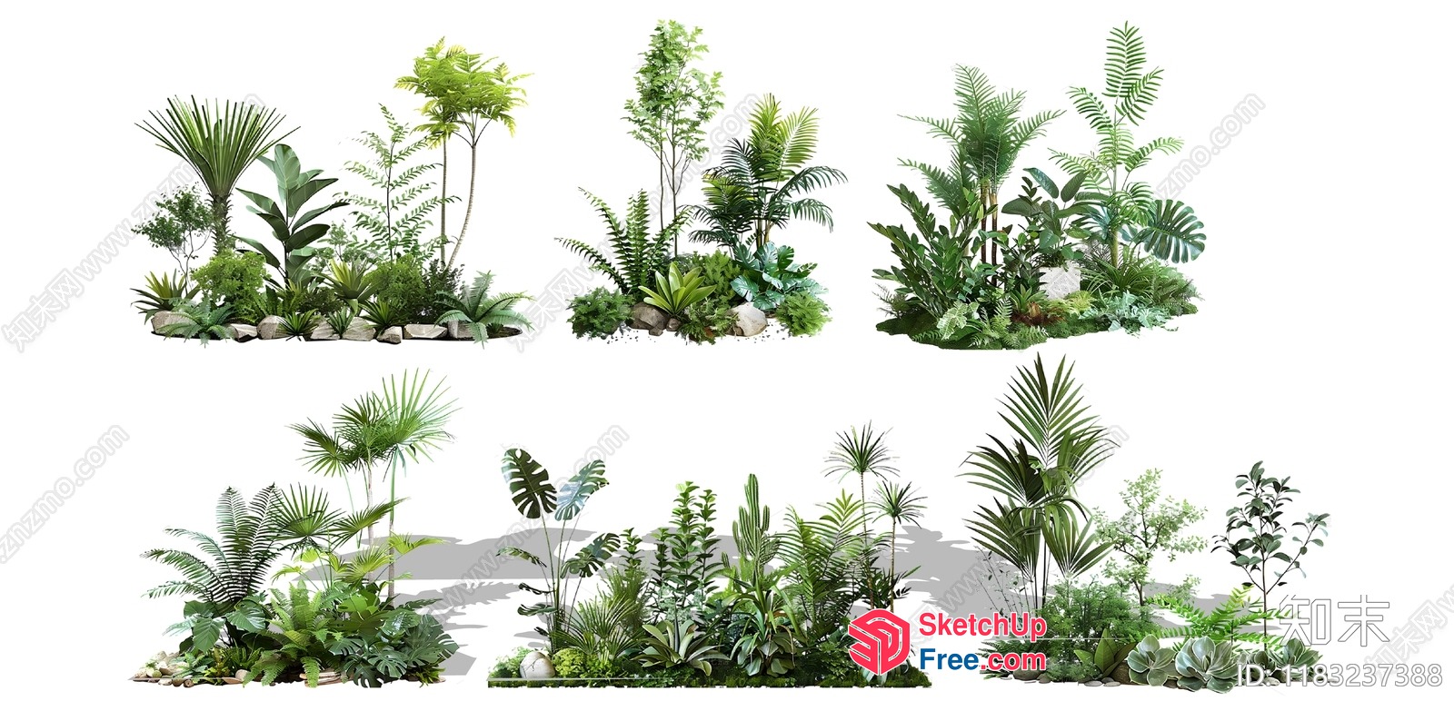 Exotic Tropical Plant Collection 3D SketchUp File