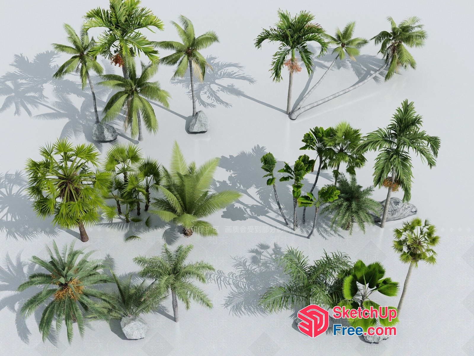 Palm Trees In Various Styles 3D SketchUp File