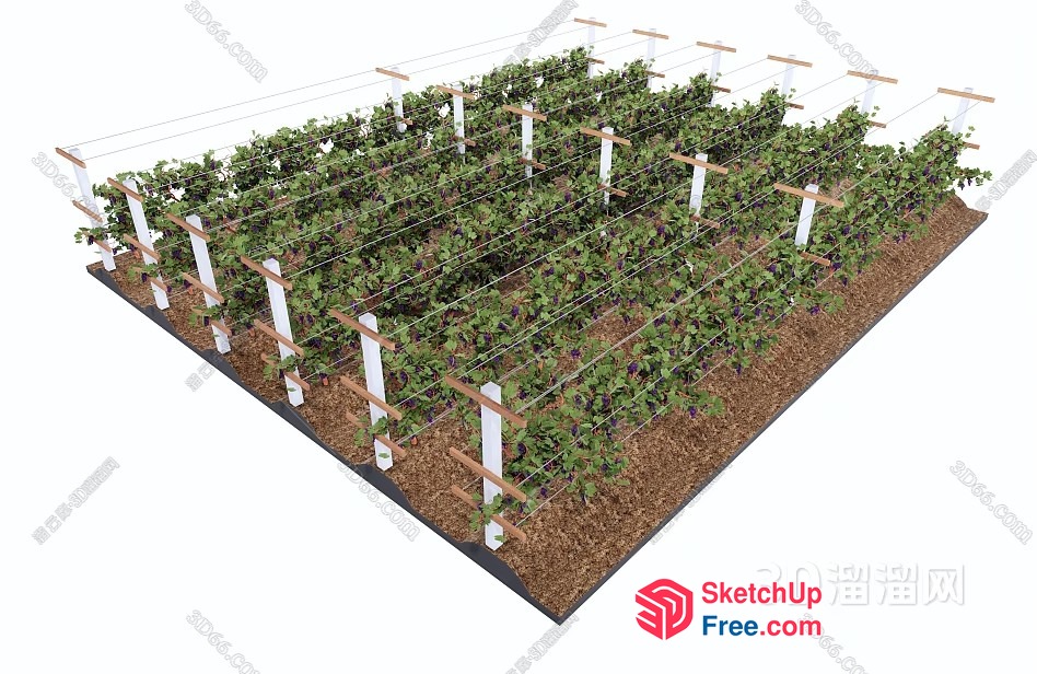 3D Rendering Of A Garden With Green Plants And Trellises 3D SketchUp File