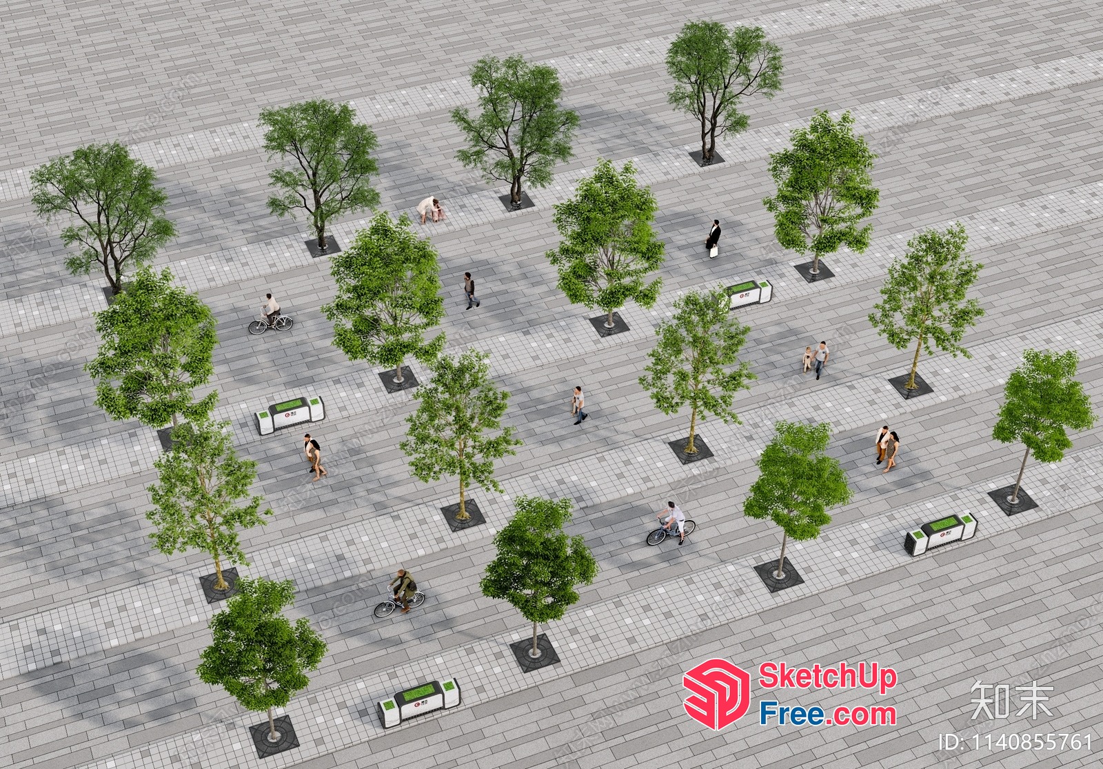 People Walking And Riding Bicycles On A Gray Brick Road 3D SketchUp File