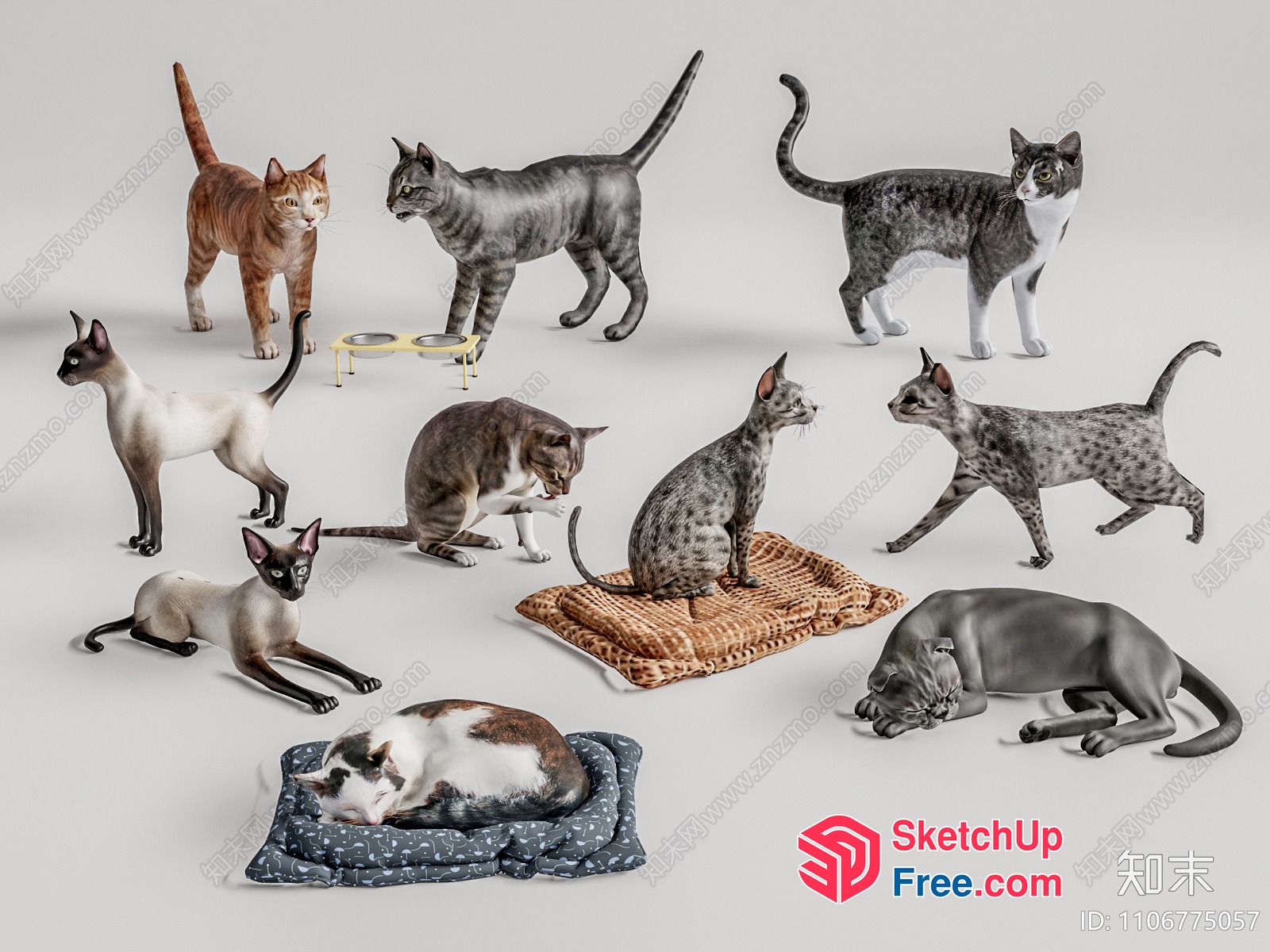 Various Cats In Different Poses 3D SketchUp File