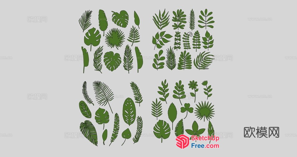 Tropical Leaf Decorative Elements 3D SketchUp File