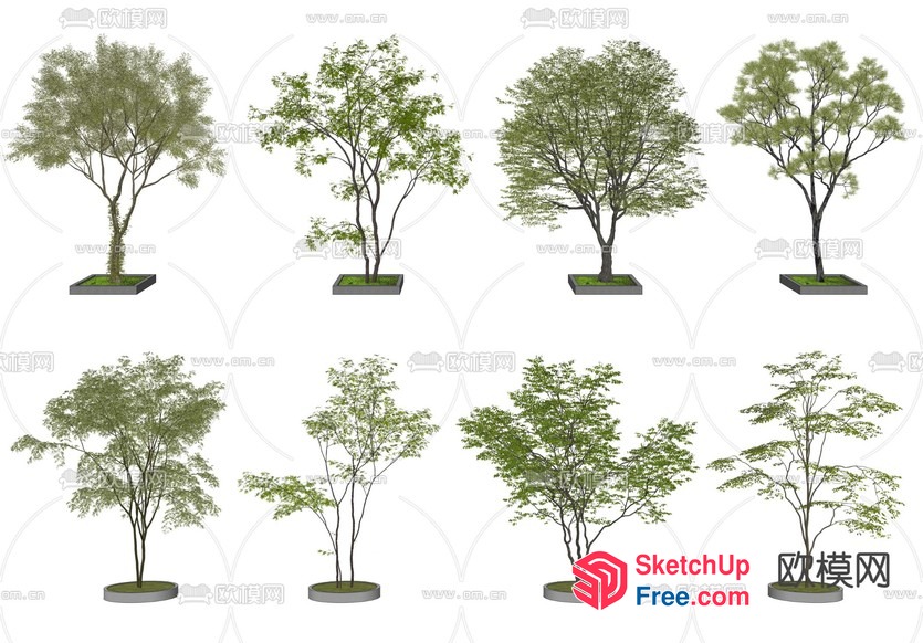 Set Of Trees In Various Styles 3D SketchUp File
