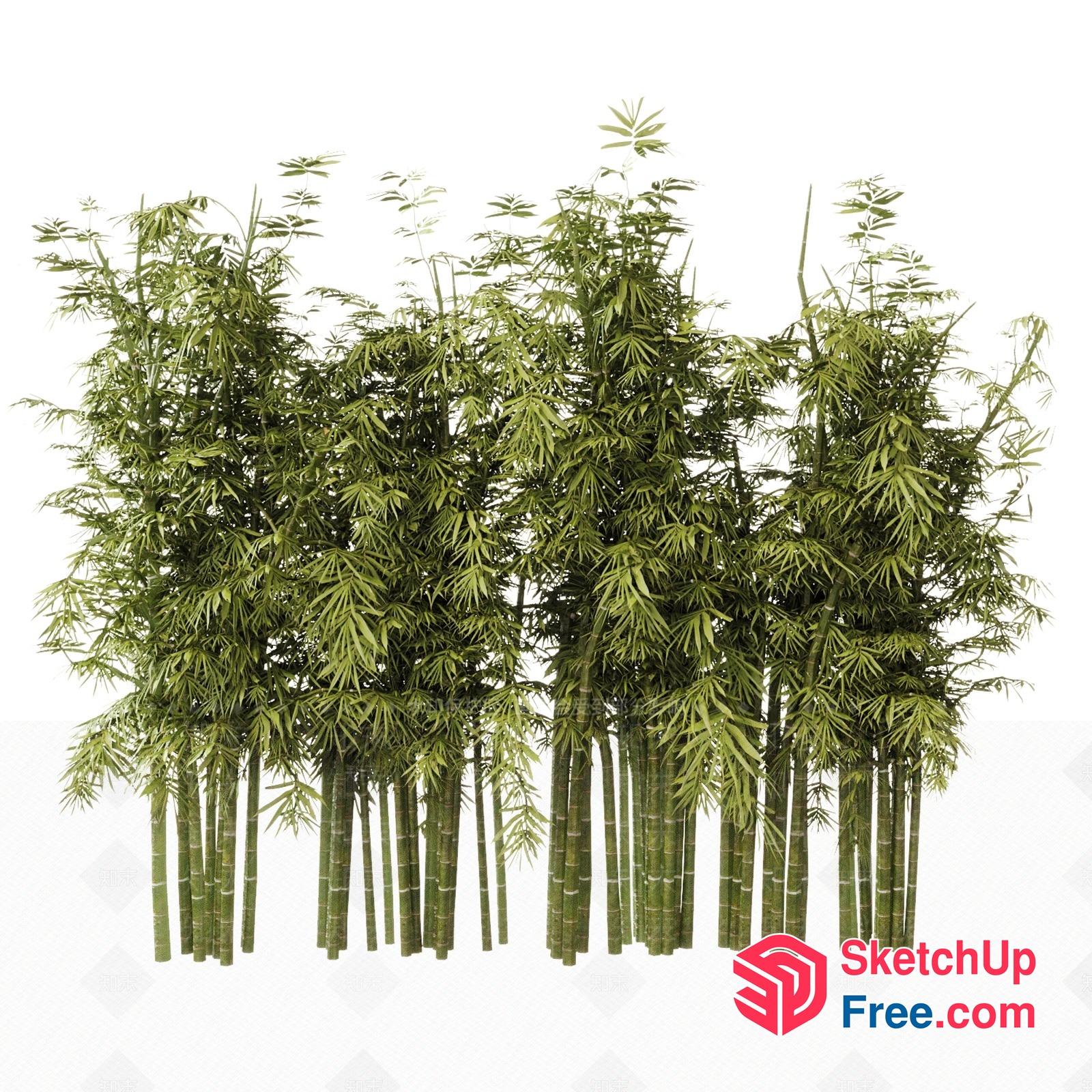 Bamboo Forest Scene 3D SketchUp File